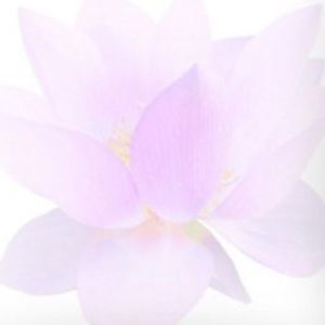 Meet your Posher, Robyn